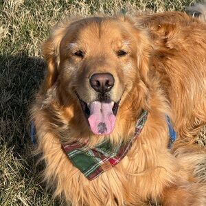 Meet your Posher, Angie